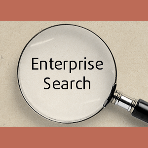 Wie man die richtige Suchlösung für sein Unternehmen findet – Interview zum Thema Enterprise Search.